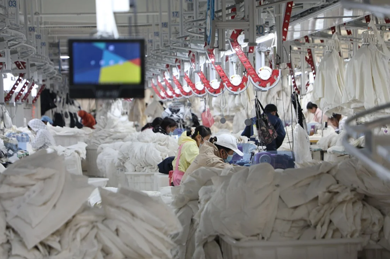 1766482264447422.png 20251218a92cf0a11efd4e58a257bb0368bd4e86_20251218d101807000eb483c8b8b4603b7879185.png