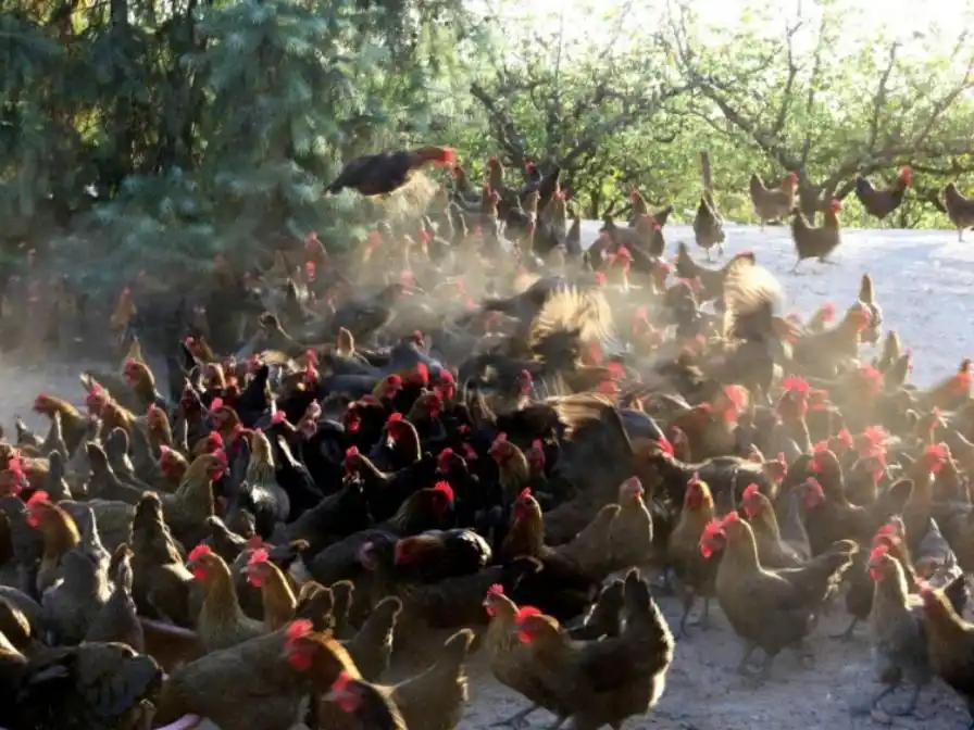 1770949943813550.png 1770949943813550.png